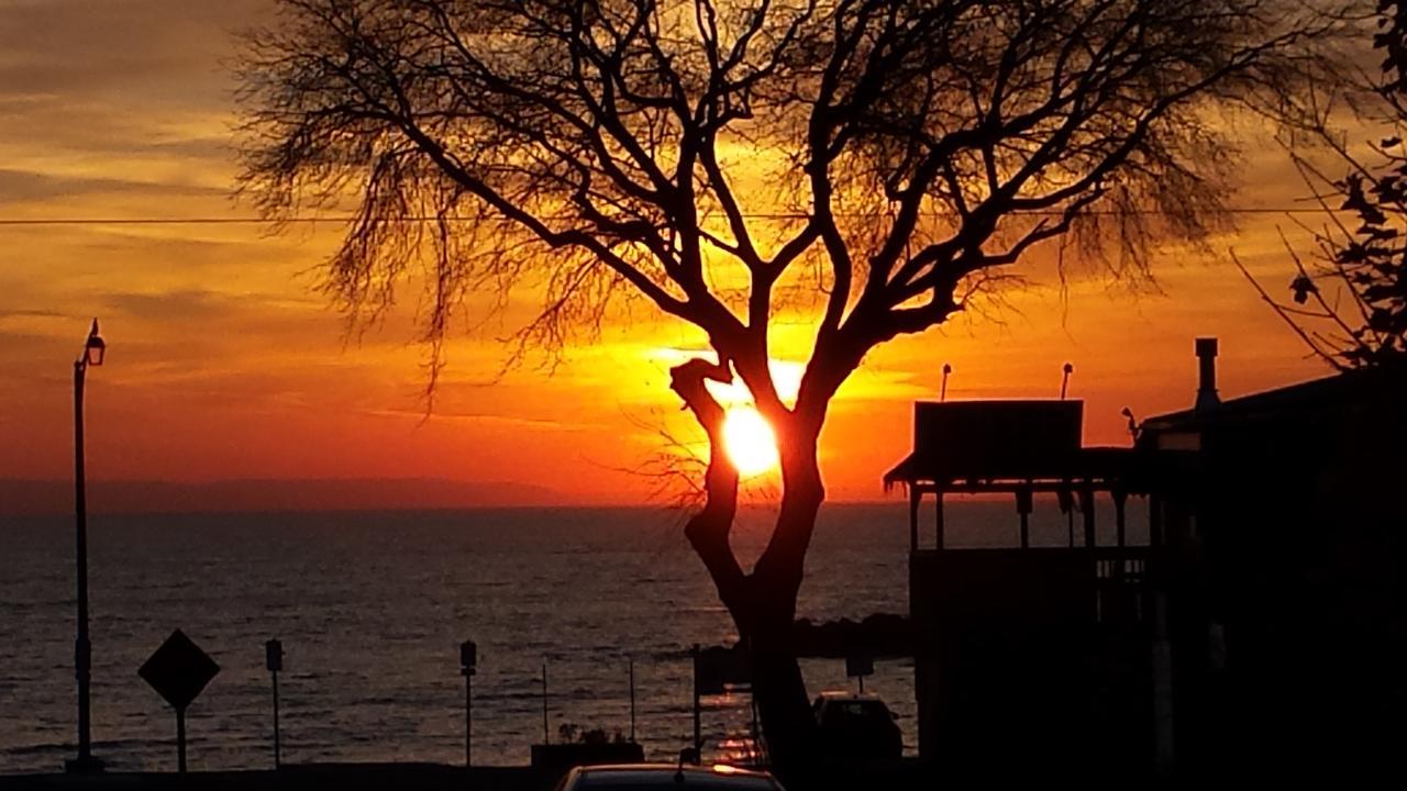 Balm Beach Resort And Motel Dış mekan fotoğraf